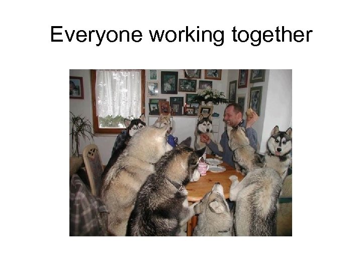 Everyone working together 