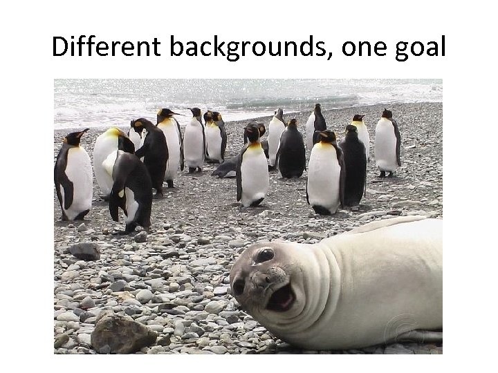 Different backgrounds, one goal 