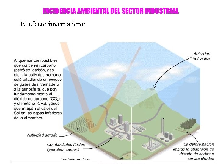 INCIDENCIA AMBIENTAL DEL SECTOR INDUSTRIAL El efecto invernadero: 