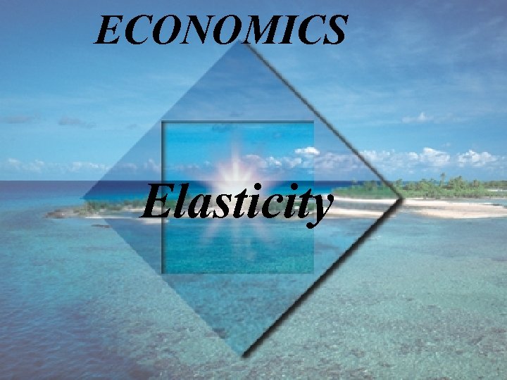 ECONOMICS Elasticity 