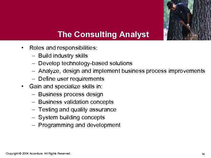 The Consulting Analyst • Roles and responsibilities: – Build industry skills – Develop technology-based