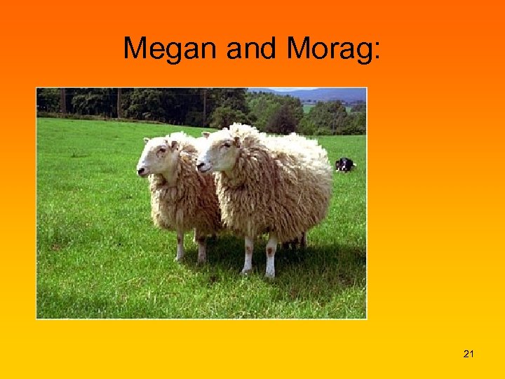 Megan and Morag: 21 