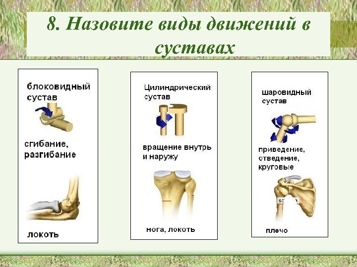 8. Назовите виды движений в суставах 