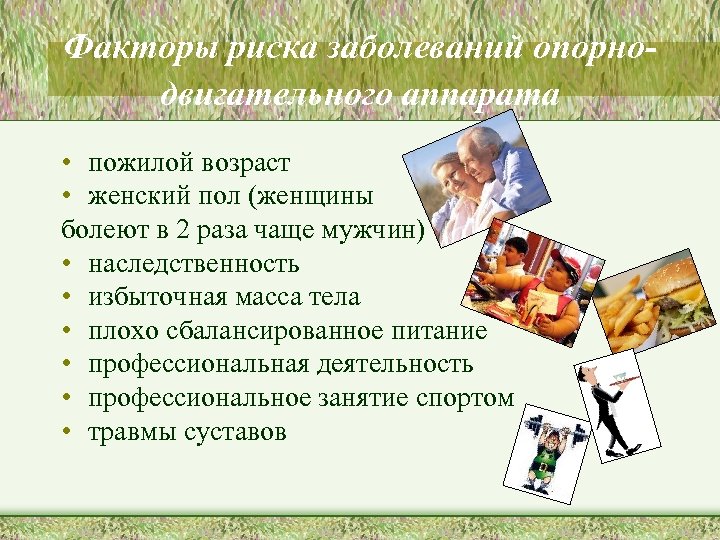 Факторы риска заболеваний опорнодвигательного аппарата • пожилой возраст • женский пол (женщины болеют в