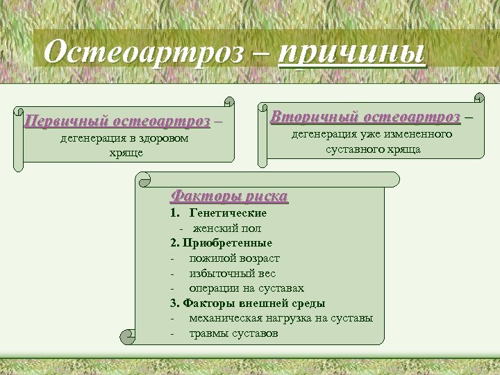 Остеоартроз – причины Первичный остеоартроз – Вторичный остеоартроз – дегенерация в здоровом хряще дегенерация