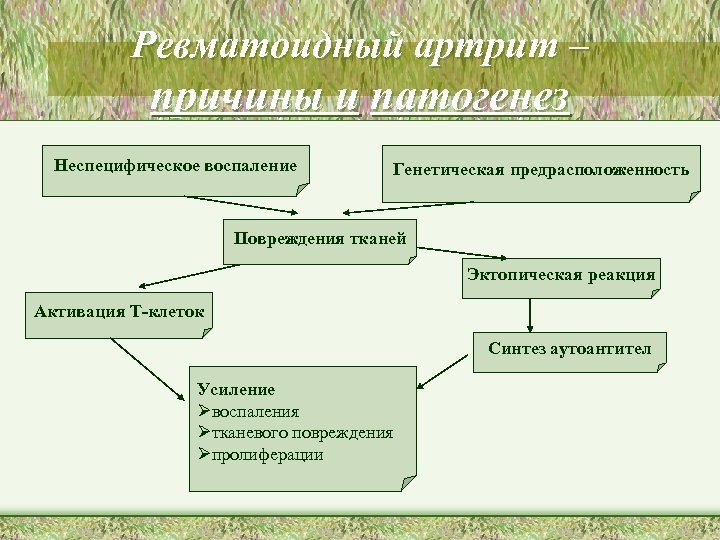 Ревматоидный артрит – причины и патогенез Неспецифическое воспаление Генетическая предрасположенность Повреждения тканей Эктопическая реакция