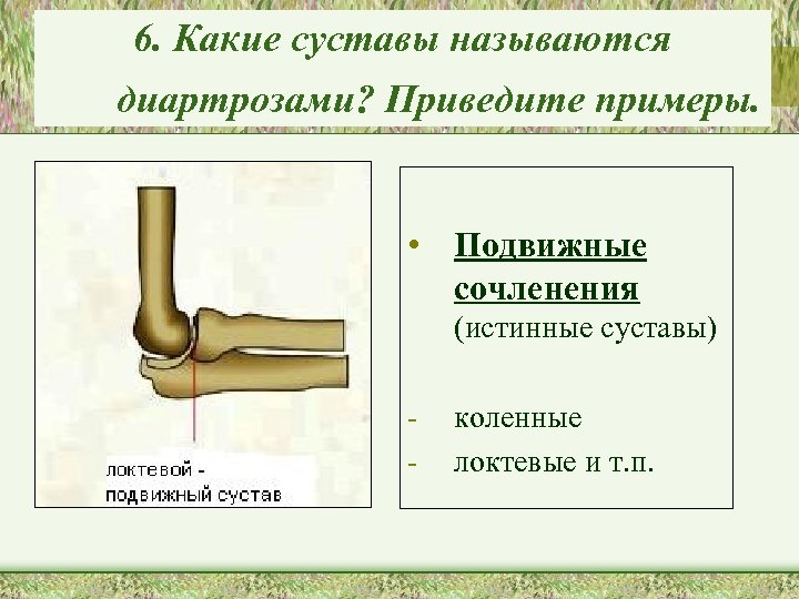 6. Какие суставы называются диартрозами? Приведите примеры. • Подвижные сочленения (истинные суставы) - коленные
