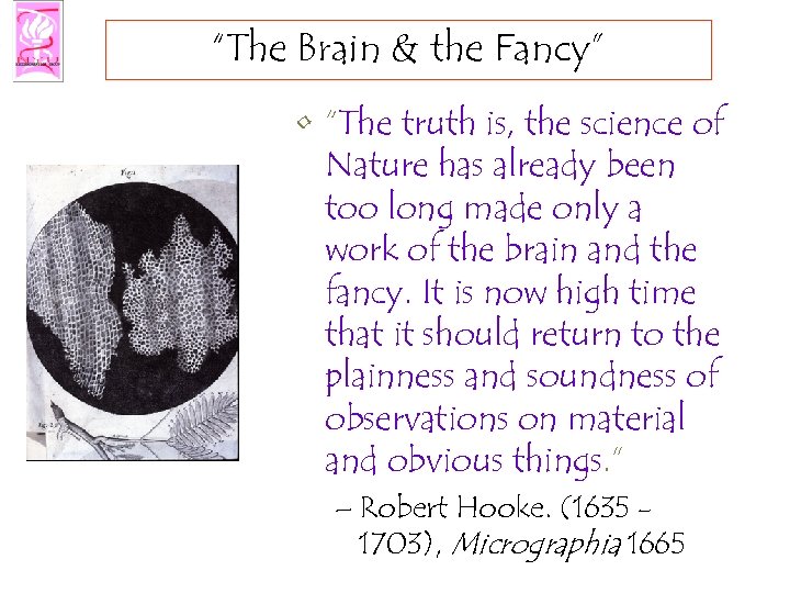 “The Brain & the Fancy” • “The truth is, the science of Nature has