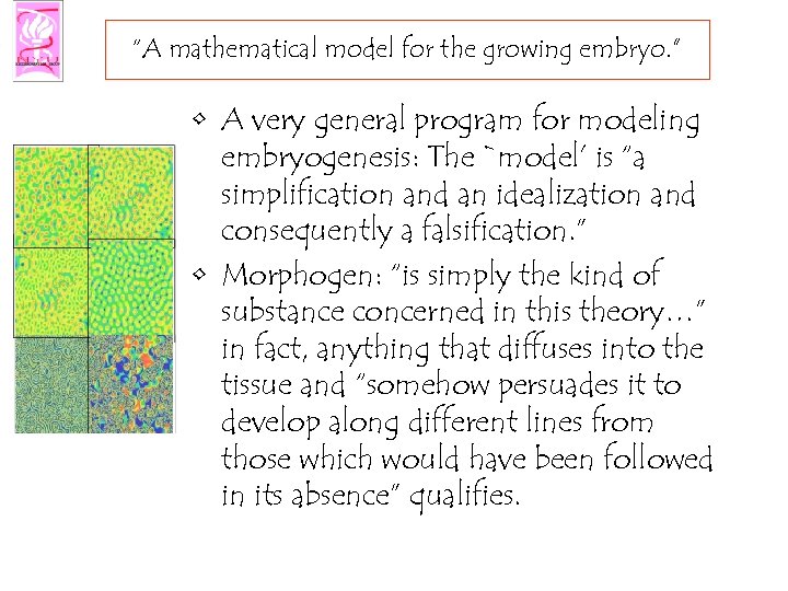 “A mathematical model for the growing embryo. ” • A very general program for