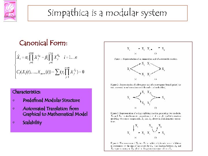 Simpathica is a modular system Canonical Form: Characteristics: • Predefined Modular Structure • Automated