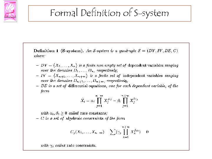 Formal Definition of S-system 