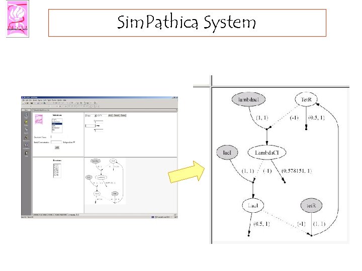 Sim. Pathica System 