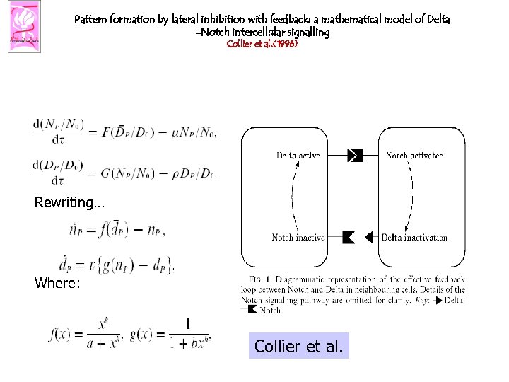 Pattern formation by lateral inhibition with feedback: a mathematical model of Delta -Notch intercellular