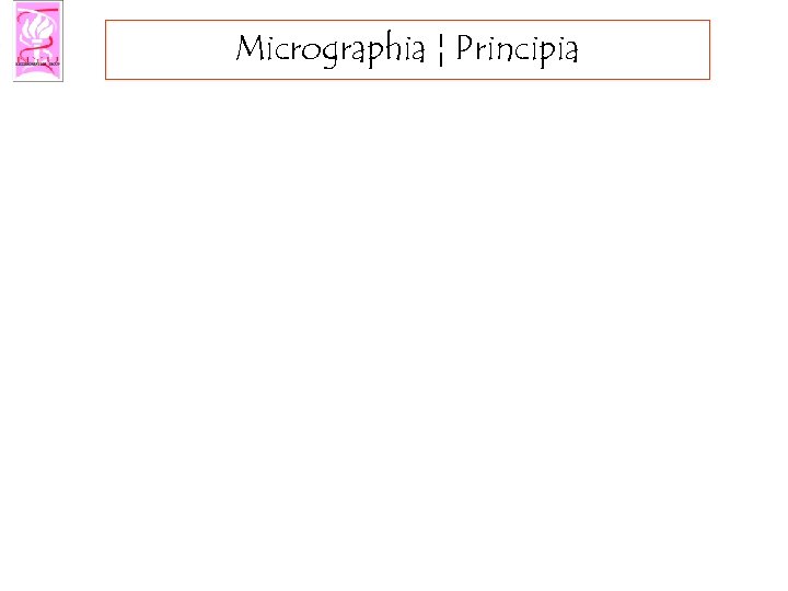 Micrographia ¦ Principia 