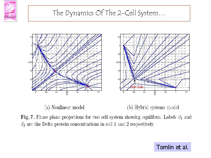 The Dynamics Of The 2 -Cell System… Tomlin et al. 
