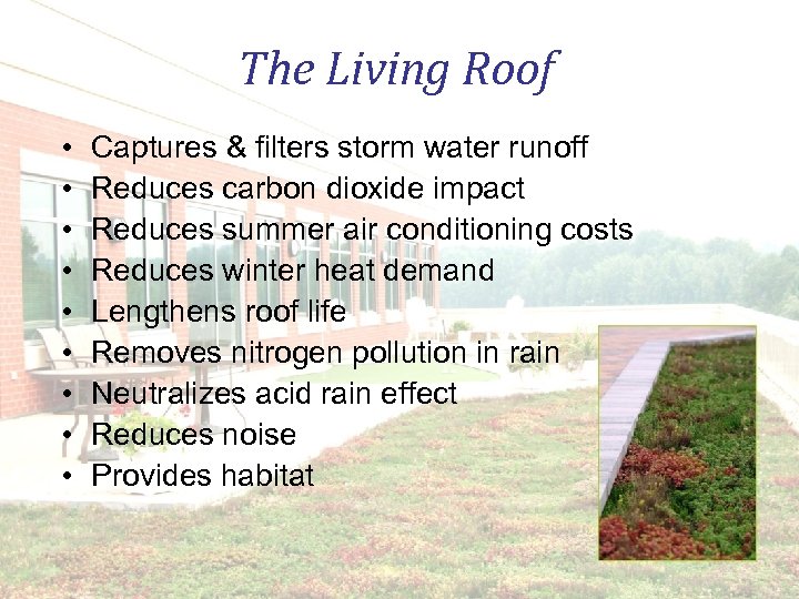 The Living Roof • • • Captures & filters storm water runoff Reduces carbon