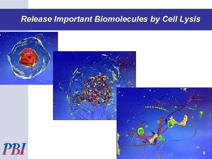 Pressure Cycling Technology (PCT) Release Important Biomolecules by Cell Lysis 8 