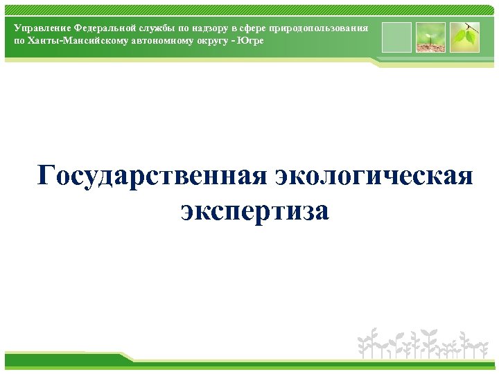 Управление федеральной налоговой службы по чукотскому автономному округу телефон