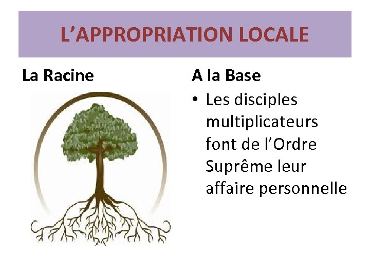 L’APPROPRIATION LOCALE La Racine A la Base • Les disciples multiplicateurs font de l’Ordre