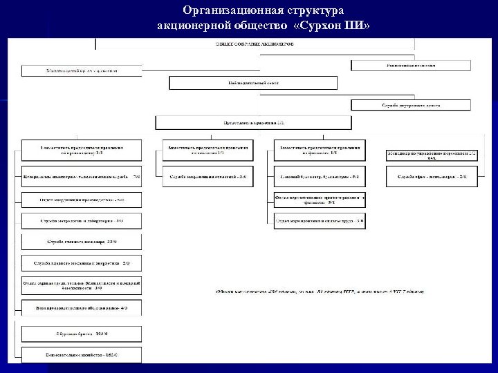 Организационная структура акционерной общество «Сурхон ПИ» 