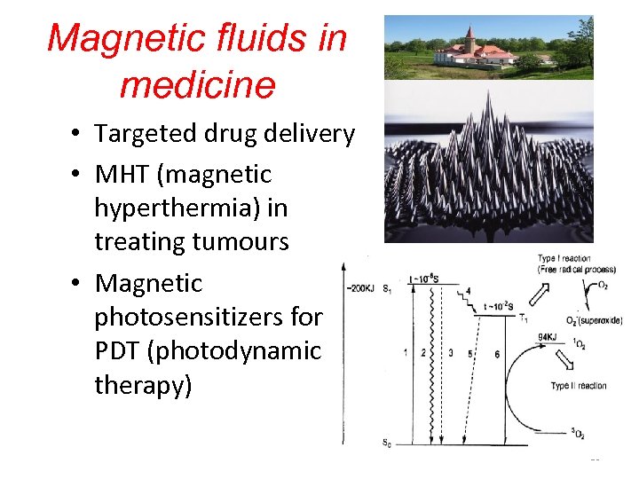 Magnetic fluids in medicine • Targeted drug delivery • MHT (magnetic hyperthermia) in treating
