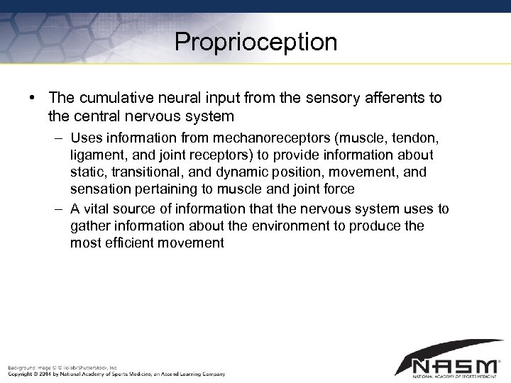 Proprioception • The cumulative neural input from the sensory afferents to the central nervous