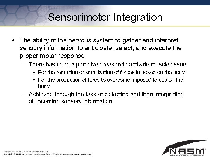 Sensorimotor Integration • The ability of the nervous system to gather and interpret sensory