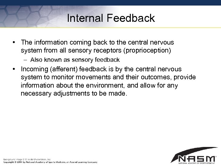 Internal Feedback • The information coming back to the central nervous system from all