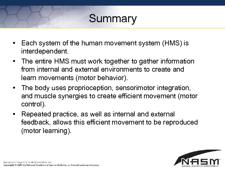 Summary • Each system of the human movement system (HMS) is interdependent. • The