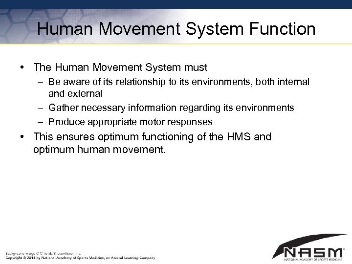 Human Movement System Function • The Human Movement System must – Be aware of