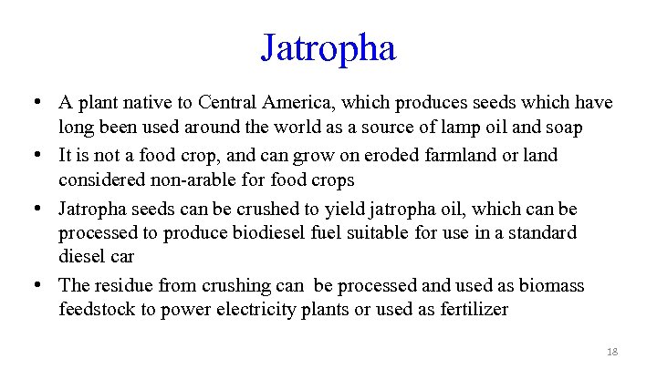 Jatropha • A plant native to Central America, which produces seeds which have long