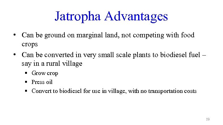 Jatropha Advantages • Can be ground on marginal land, not competing with food crops