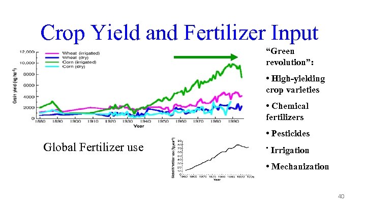 Crop Yield and Fertilizer Input “Green revolution”: • High-yielding crop varieties • Chemical fertilizers