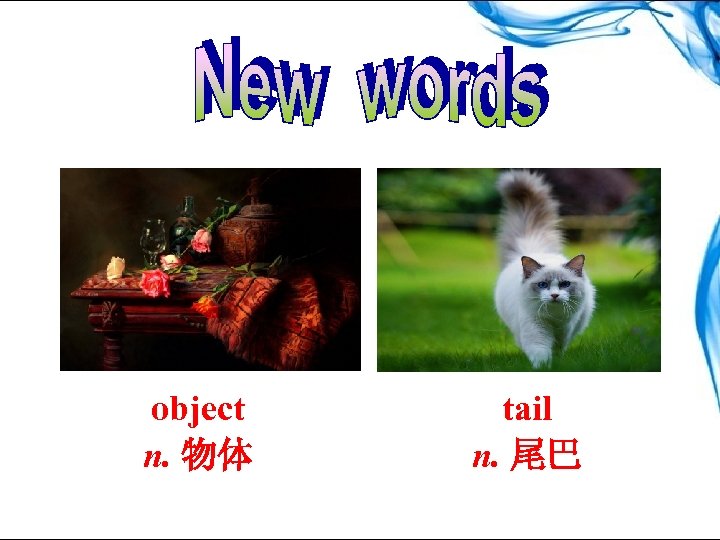 object n. 物体 tail n. 尾巴 