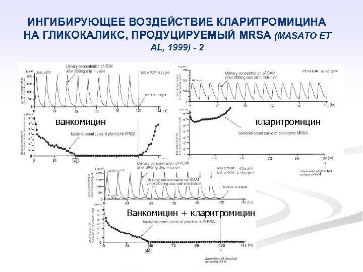 ИНГИБИРУЮЩЕЕ ВОЗДЕЙСТВИЕ КЛАРИТРОМИЦИНА НА ГЛИКОКАЛИКС, ПРОДУЦИРУЕМЫЙ MRSA (MASATO ET AL, 1999) - 2 ванкомицин