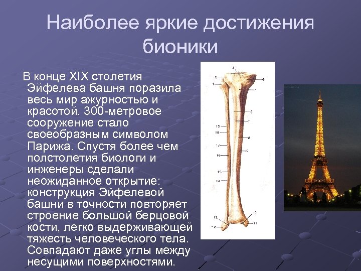 Презентация бионика 10 класс