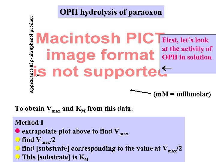Appearance of p-nitrophenol product V= OPH hydrolysis of paraoxon First, let’s look at the