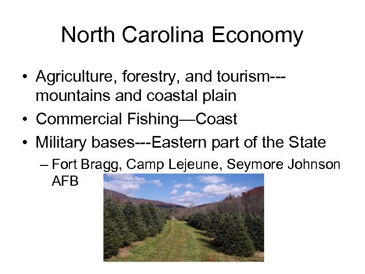 North Carolina Economy • Agriculture, forestry, and tourism--mountains and coastal plain • Commercial Fishing—Coast