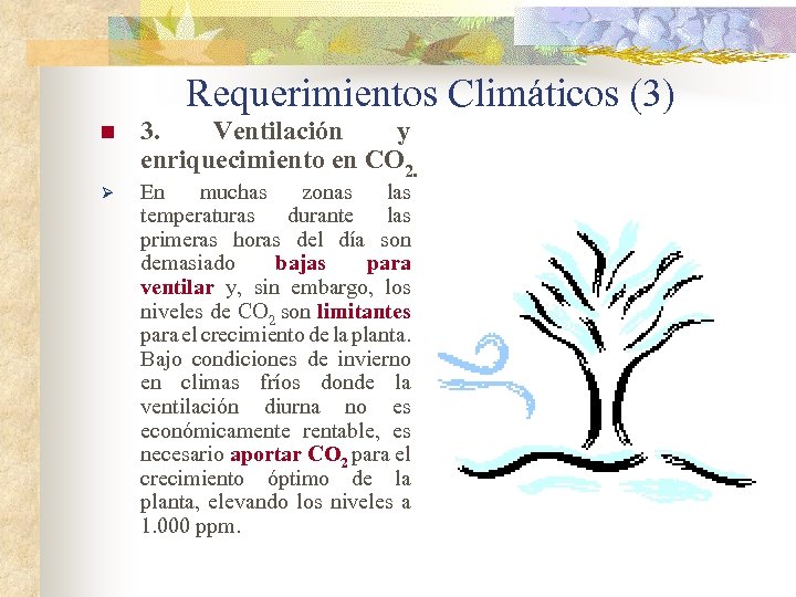 Requerimientos Climáticos (3) n Ø 3. Ventilación y enriquecimiento en CO 2. En muchas