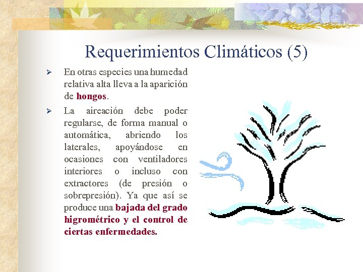 Requerimientos Climáticos (5) Ø Ø En otras especies una humedad relativa alta lleva a