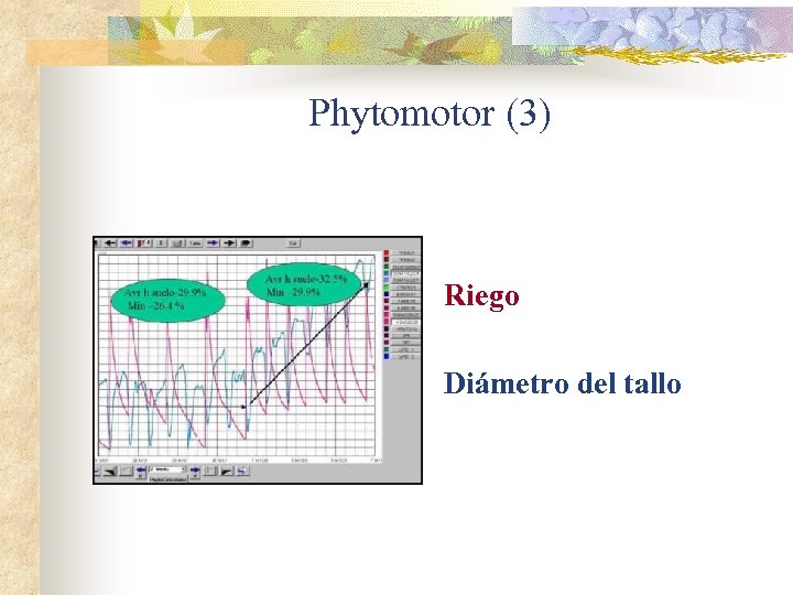 Phytomotor (3) Riego Diámetro del tallo 