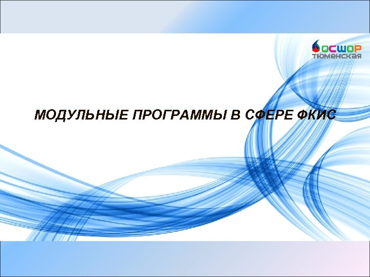 МОДУЛЬНЫЕ ПРОГРАММЫ В СФЕРЕ ФКИС 