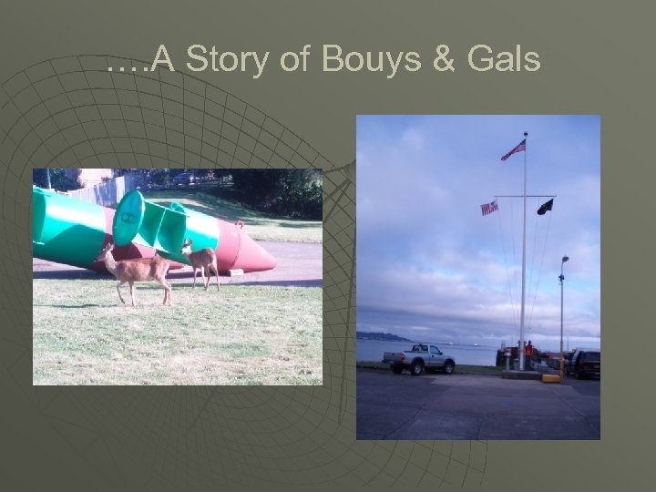 …. A Story of Bouys & Gals 