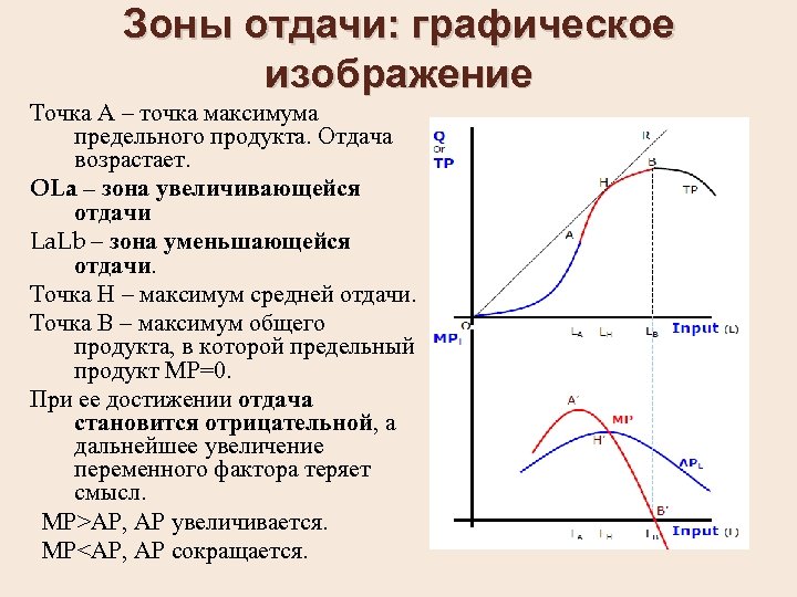 Зоны отдачи: графическое изображение Точка А – точка максимума предельного продукта. Отдача возрастает. OLa