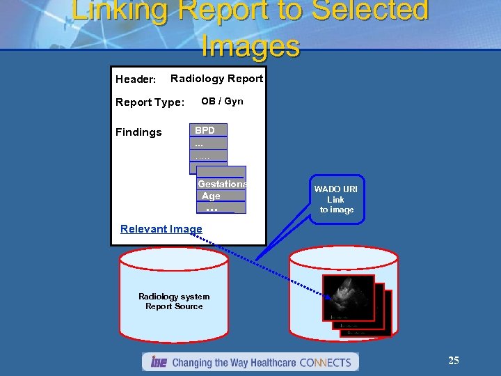 Linking Report to Selected Images Header: Radiology Report Type: Findings: OB / Gyn ….