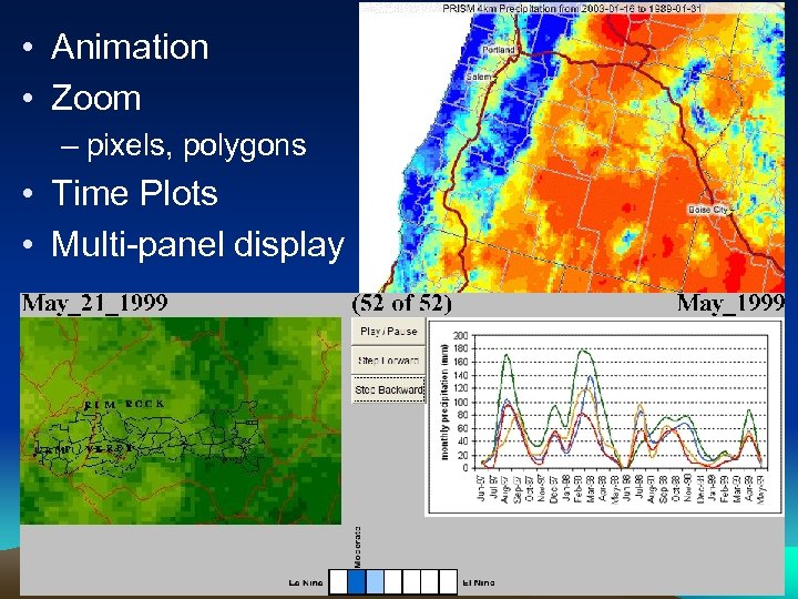  • Animation • Zoom – pixels, polygons • Time Plots • Multi-panel display