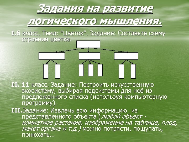 Задания на развитие логического мышления. І. 6 класс. Тема: "Цветок". Задание: Составьте схему строения