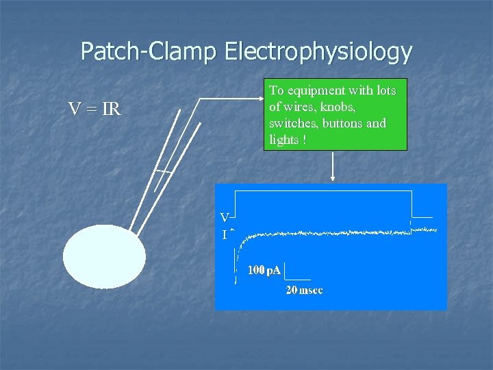Patch-Clamp Electrophysiology To equipment with lots of wires, knobs, switches, buttons and lights !