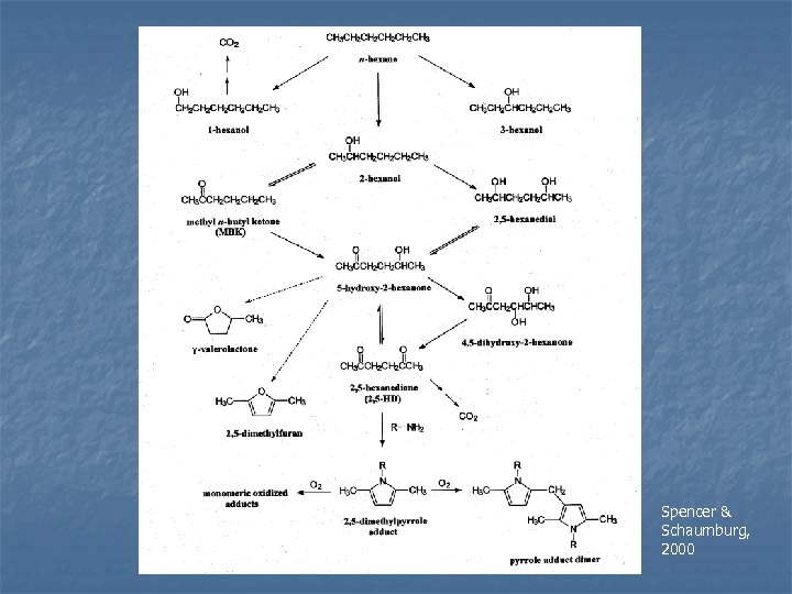 Spencer & Schaumburg, 2000 