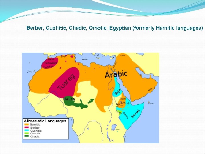 Berber, Cushitic, Chadic, Omotic, Egyptian (formerly Hamitic languages) 